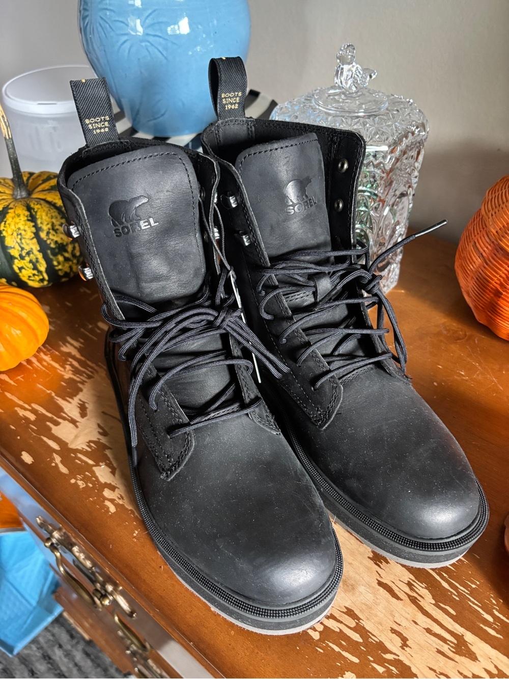 NWT Sorel Women’s Hi-Line Boots